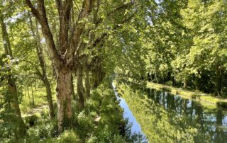 LENCOUET Gîtes & Chambres d'Hôtes - Lot-et-Garonne - exc6